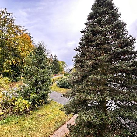 Pension Zum Loewen, Parkplatz, Fruehstueck, Wlan, Zentral Bad Steben Exteriér fotografie