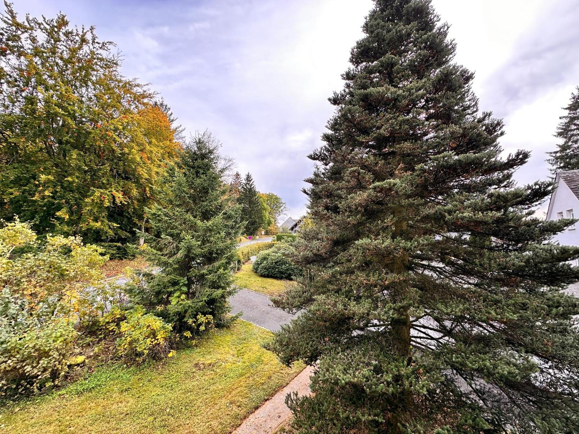 Pension Zum Loewen, Parkplatz, Fruehstueck, Wlan, Zentral Bad Steben Exteriér fotografie